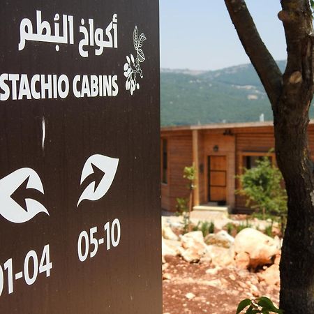 Ajloun Forest Reserve Džaraš Exteriér fotografie