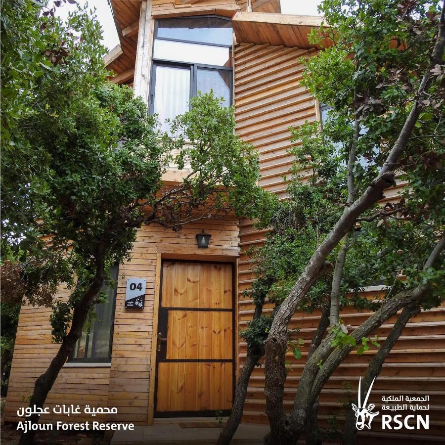 Ajloun Forest Reserve Džaraš Exteriér fotografie