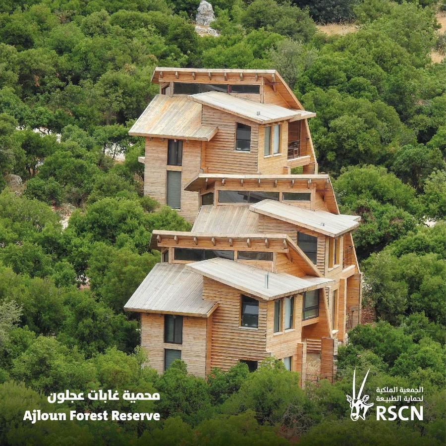 Ajloun Forest Reserve Džaraš Exteriér fotografie