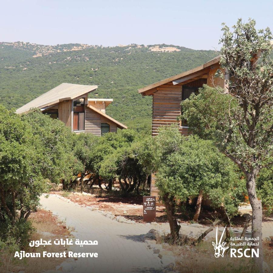 Ajloun Forest Reserve Džaraš Exteriér fotografie