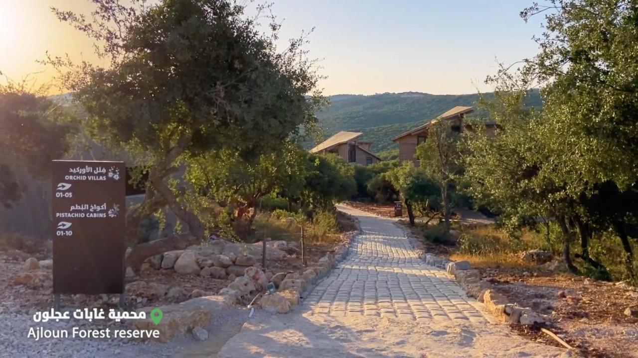 Ajloun Forest Reserve Džaraš Exteriér fotografie