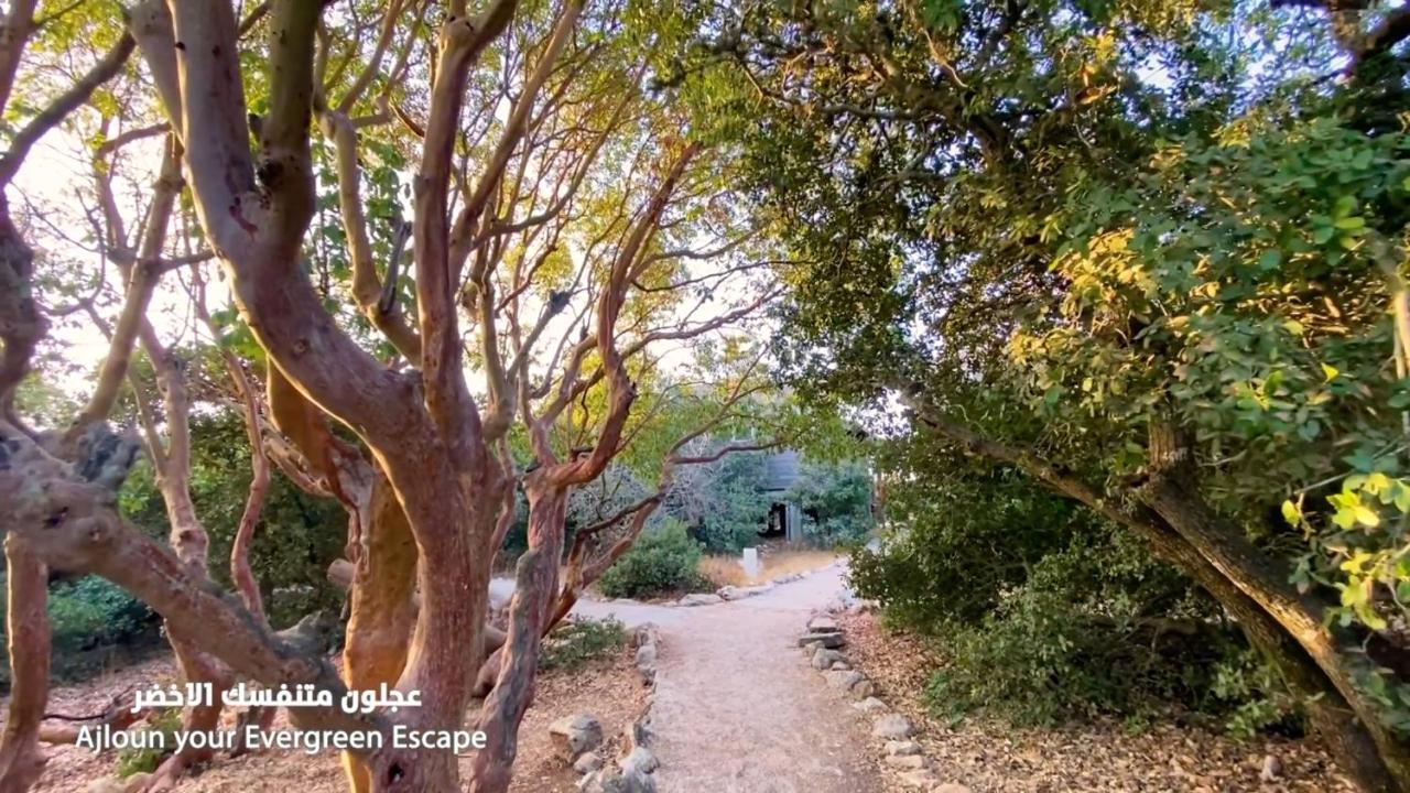 Ajloun Forest Reserve Džaraš Exteriér fotografie