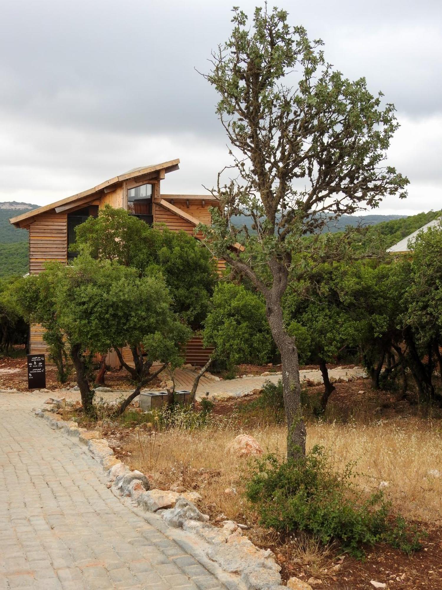 Ajloun Forest Reserve Džaraš Exteriér fotografie