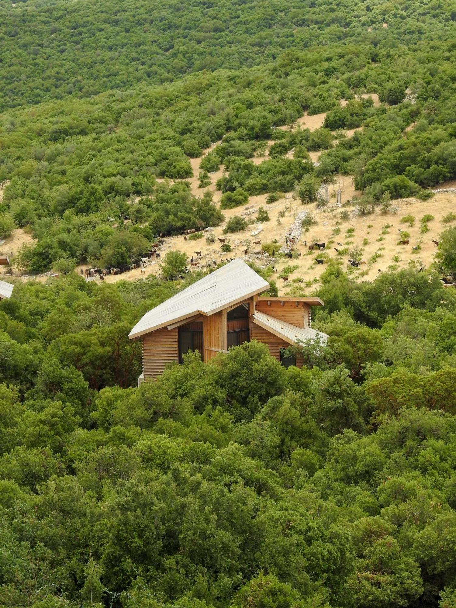 Ajloun Forest Reserve Džaraš Exteriér fotografie