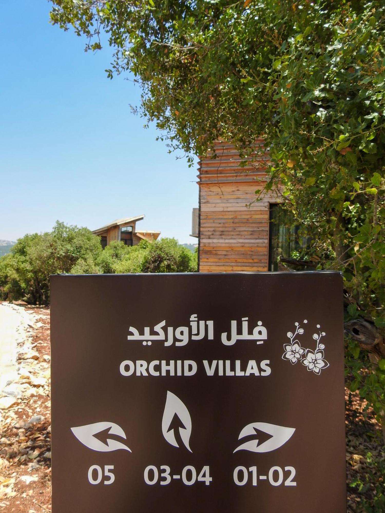 Ajloun Forest Reserve Džaraš Exteriér fotografie