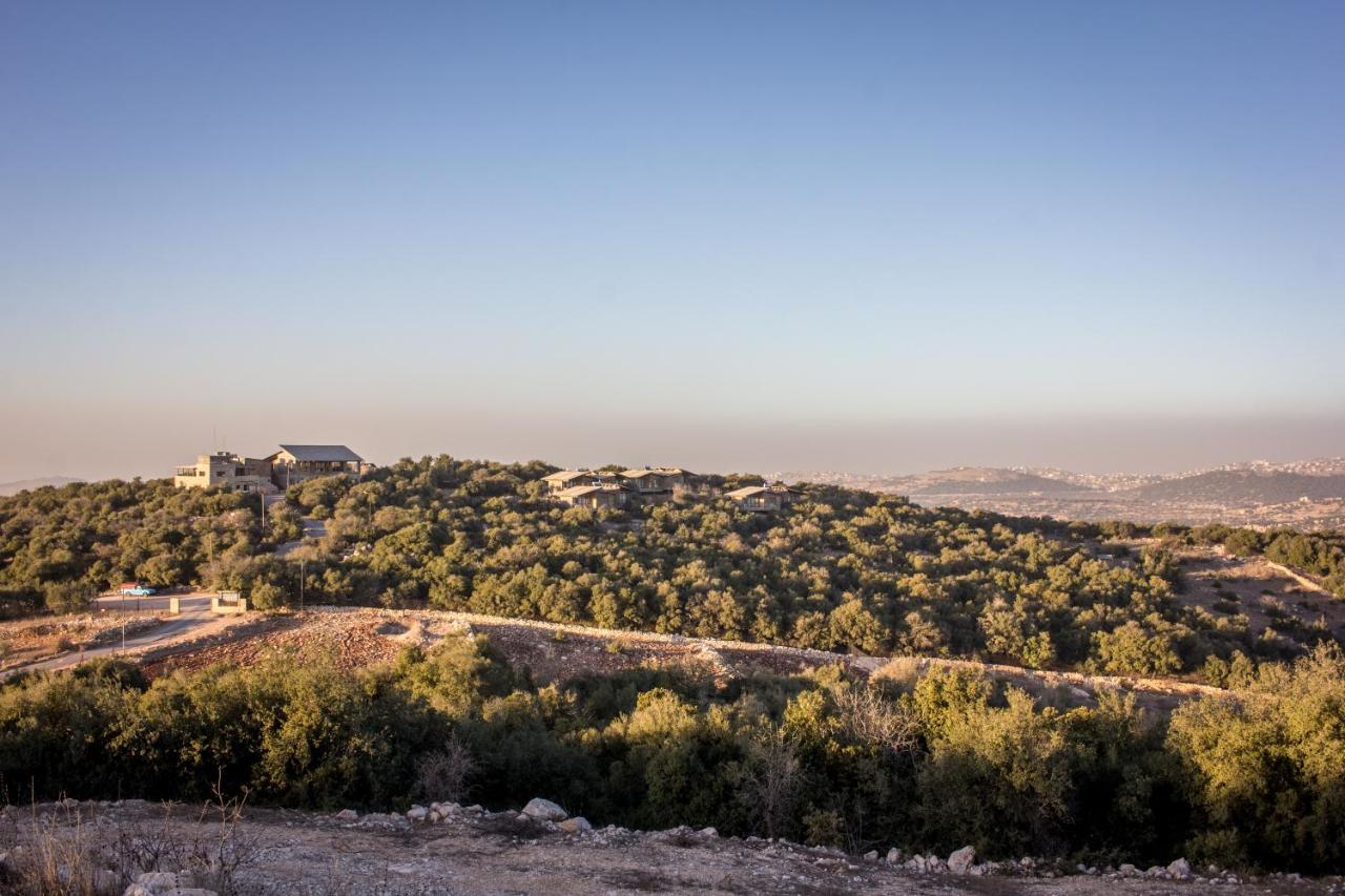 Ajloun Forest Reserve Džaraš Exteriér fotografie