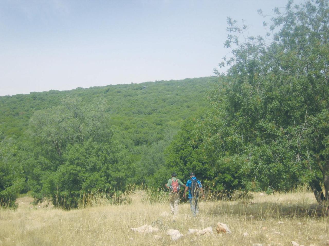 Ajloun Forest Reserve Džaraš Exteriér fotografie