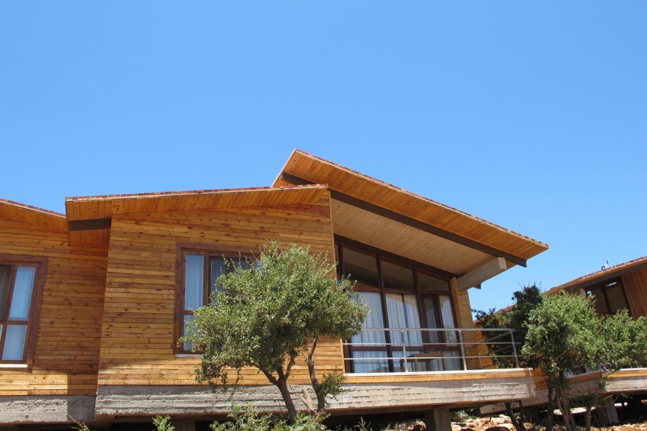 Ajloun Forest Reserve Džaraš Exteriér fotografie