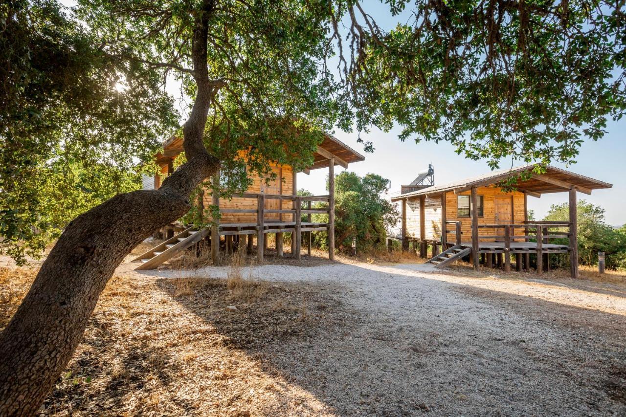 Ajloun Forest Reserve Džaraš Exteriér fotografie